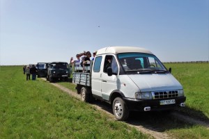 Асканія-Нова